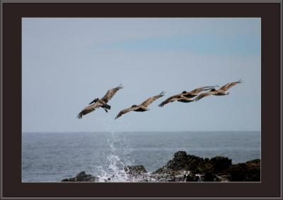 u34/antoinevu/medium/33155837.IMG_2290a800.jpg