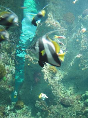 Sydney Aquarium 2002