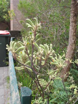CRW_0391.jpg