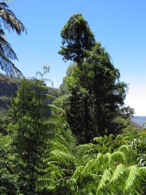 CRW_0489.jpg