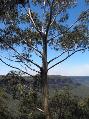 CRW_0502.jpg