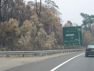 106-0678_IMG.jpg