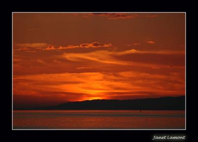 u34/aquaholic2/medium/31286248.DSC_0050E.jpg