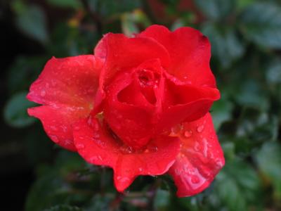 IMG_9052.jpg