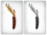 corn