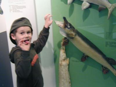 P1010027.JPG