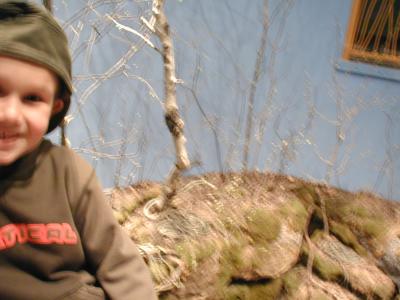 P1010029.JPG