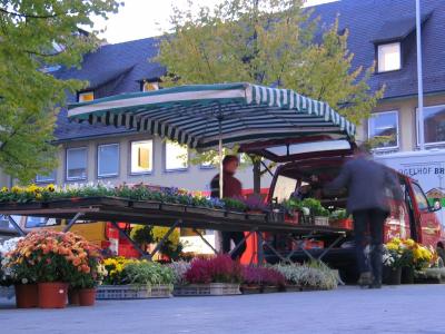 Morning Market