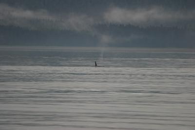 IMG_5259.JPG