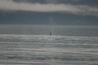 IMG_5260.JPG