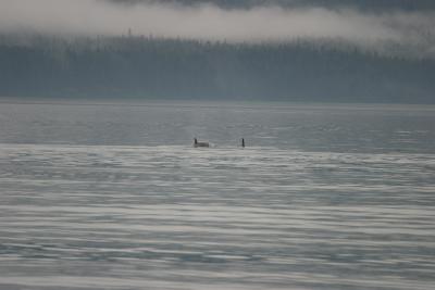 IMG_5261.JPG