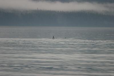 IMG_5262.JPG
