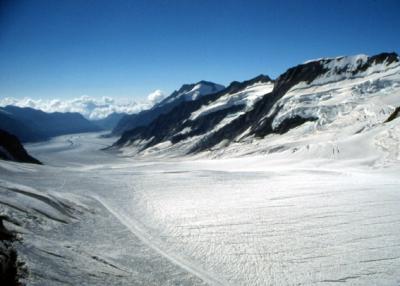 Aletschgletscher from the Jungfraujoch