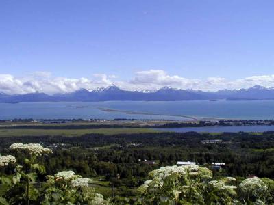 Homer Spit