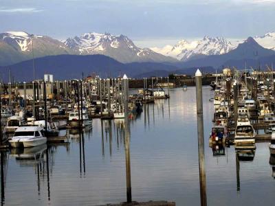 Homer Harbor