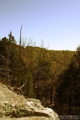 CRW_0274.jpg