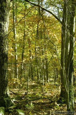 CRW_0283.jpg