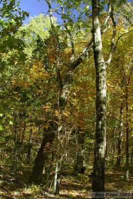 CRW_0288.jpg