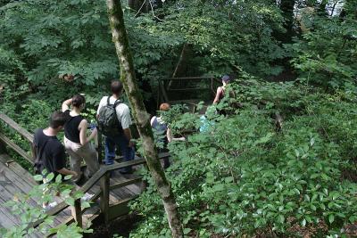 CRW_0799.jpg