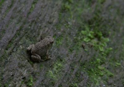 CRW_0805.jpg