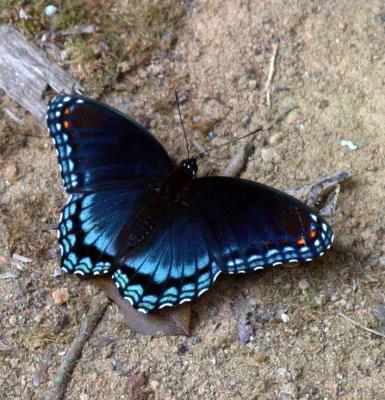 CRW_0809.jpg