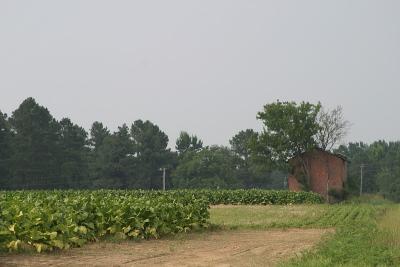 CRW_0814.jpg
