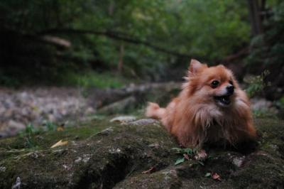 Sept25e_04_103.JPG