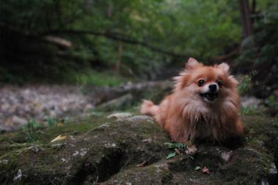 Sept25e_04_109.JPG