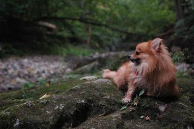 Sept25e_04_116.JPG