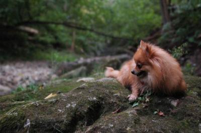 Sept25e_04_119.JPG