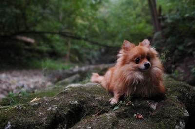 Sept25e_04_125.JPG