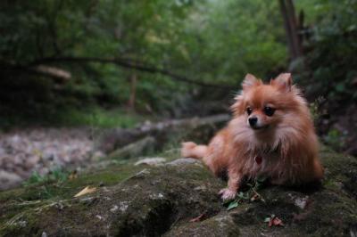 Sept25e_04_128.JPG