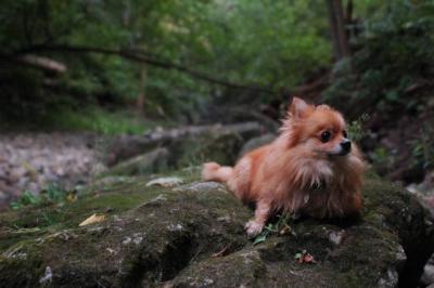Sept25e_04_130.JPG