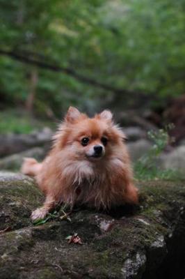 Sept25e_04_142.JPG
