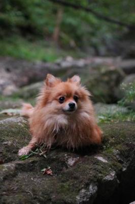 Sept25e_04_146.JPG