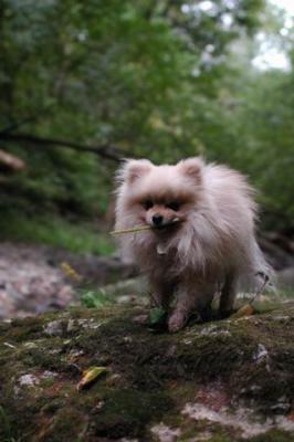 Sept25e_04_210.JPG