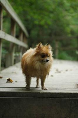 Sept25a_04_513.JPG