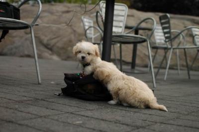 Oct4_04_249.JPG