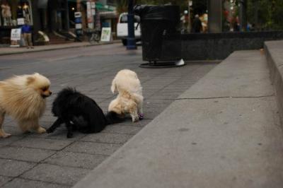 Oct4_04_326.JPG