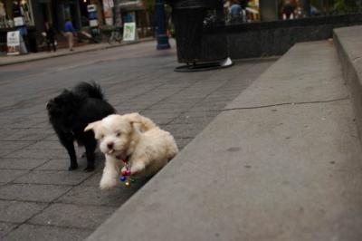 Oct4_04_346.JPG