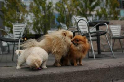 Oct4_04_367.JPG