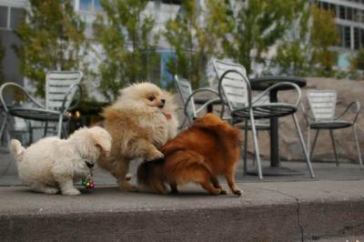 Oct4_04_370.JPG