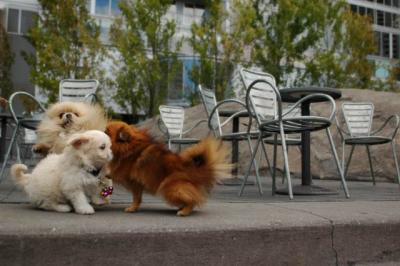 Oct4_04_371.JPG