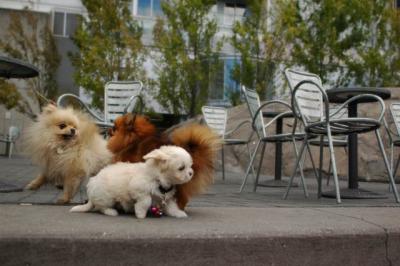 Oct4_04_372.JPG