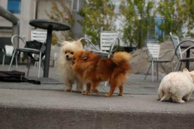 Oct4_04_376.JPG