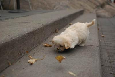 Oct4_04_379.JPG