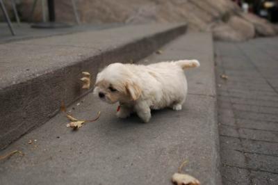 Oct4_04_380.JPG