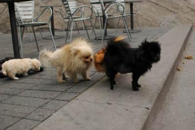 Oct4_04_448.JPG