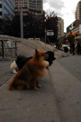 Oct4_04_489.JPG