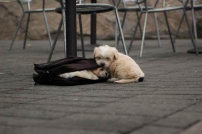 Oct4_04_530.JPG